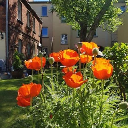 City Appartement Mit Garten, Zentral Und Trotzdem Ruhig Cottbus Exterior foto