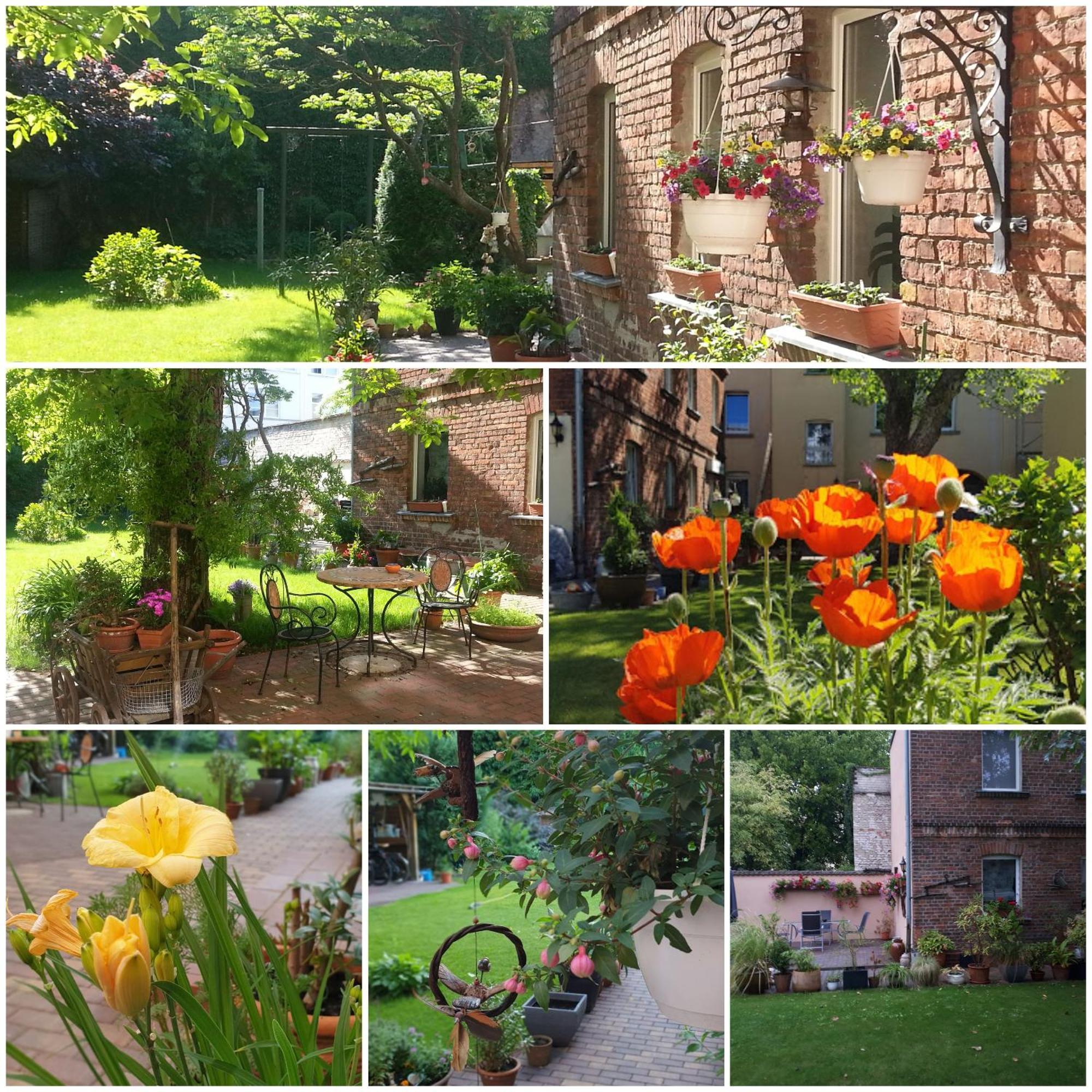 City Appartement Mit Garten, Zentral Und Trotzdem Ruhig Cottbus Exterior foto